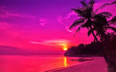 Beach Sunset Wallpaper ~ HD Wallpapers