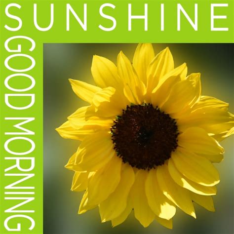 Good Morning Sunshine Poster Free Stock Photo - Public Domain Pictures