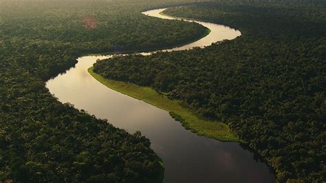 Why is Protecting the Congo Basin Rainforest So… | Bezos Earth Fund