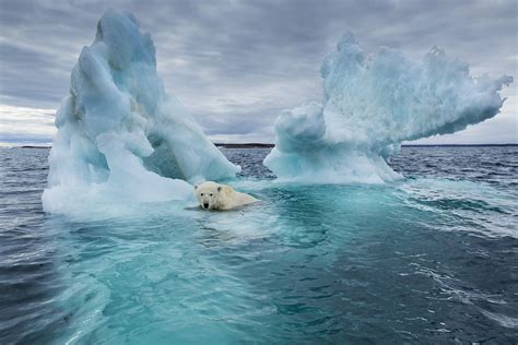 Arctic sea ice melting faster than forecast - CGTN