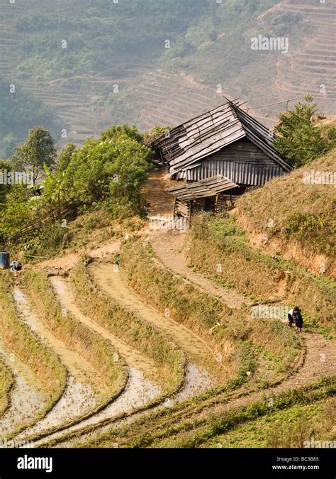 Sapa rice fields Vietnam Stock Photo - Alamy