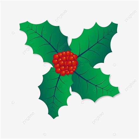 Holly Berries Vector Design Images, Holly Berries With Leaves Isolated ...