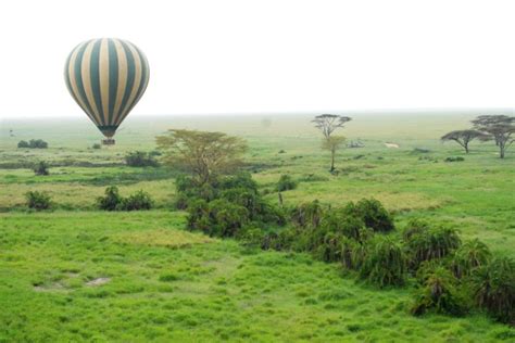 3 Day Serengeti Balloon Safari – Bravo Expedition and Safaris