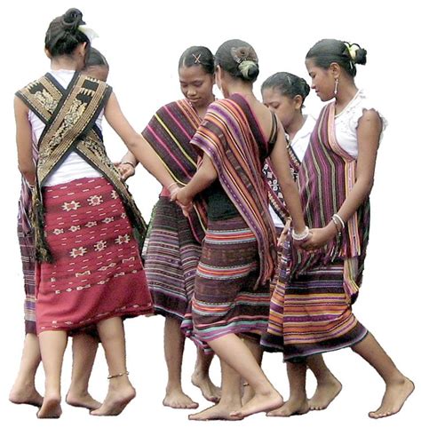 Timorese | Traditional outfits, Costumes around the world, Traditional ...