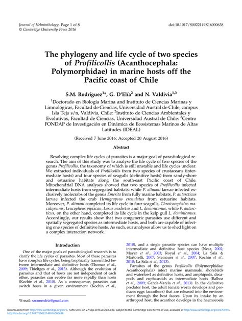 (PDF) The phylogeny and life cycle of two species of Profilicollis ...