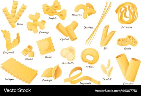 Italian pasta shapes fettuccine spaghetti Vector Image