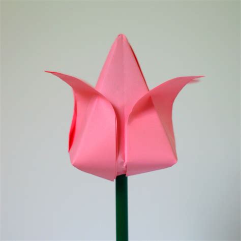 Tulips | Origami easy, Paper crafts, Paper flowers