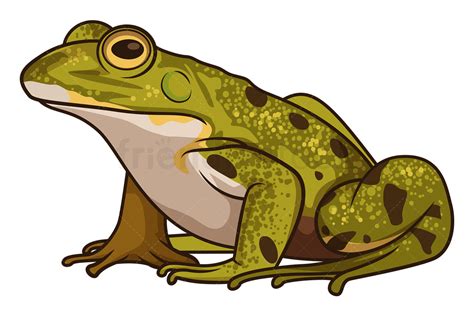 Cartoon True Frog Clipart Vector Illustration - FriendlyStock