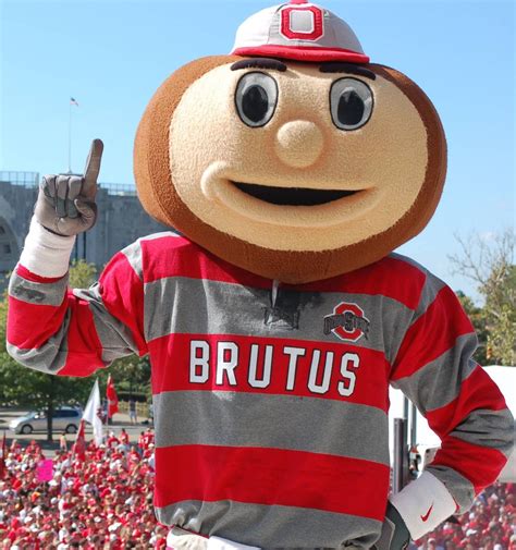 College Football | Ohio, Ohio state mascot, Buckeye