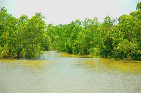 Sundarbans National Park