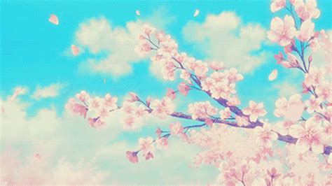 Sakura Tree Aesthetic Anime Cherry Blossom : 1920 x 1200 jpeg 333 кб.