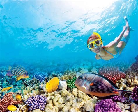 Cancun Snorkeling | The best Snorkeling Tour | Riviera Maya Snorkeling