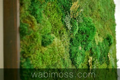 Moss Wall Art 54x36 - WabiMoss