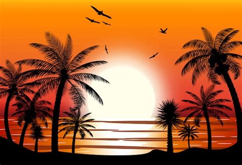 Premium Vector | Silhouette of palm tree on beach.