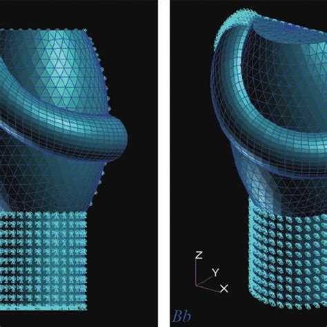 Cross-sectional shapes of the circumferential clasp arms. | Download ...