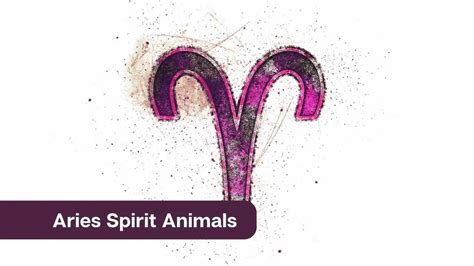 Aries Spirit Animals – All You Need to Know - eAstroHelp