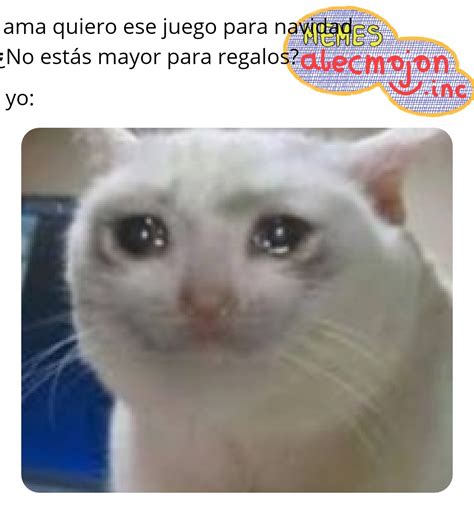 El Gato Meme Crying