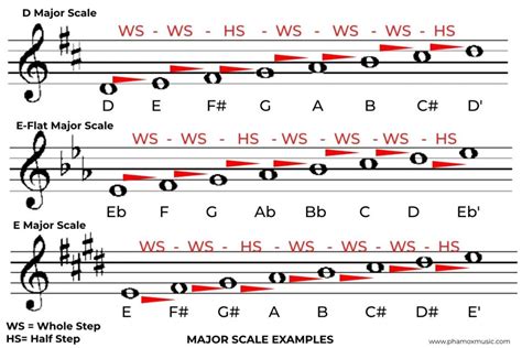 Diatonic Scale - Phamox Music