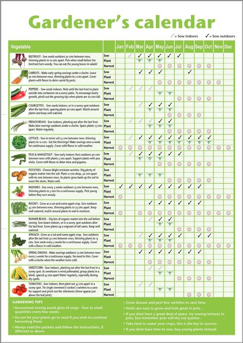 Pin by Anne Mills on veg garden | Garden calendar, Gardening for ...