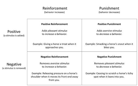 Using Positive and Negative Reinforcement Effectively - Horse Rescue ...