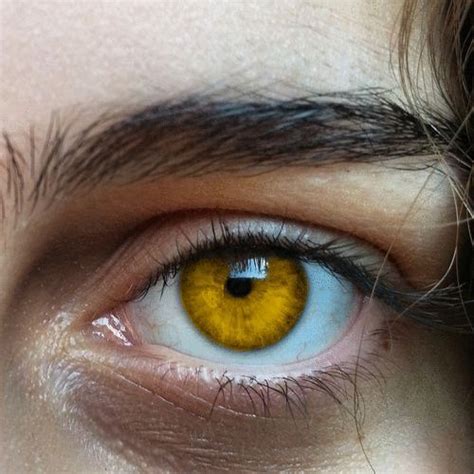 yellow eyes | Olhos castanhos esverdeados, Olhos lindos, Olhos bonitos