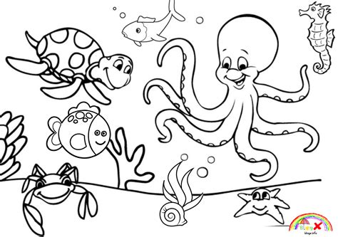 Free Printable Adult Coloring Pages Sea Animals Coloring Pages