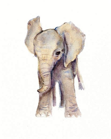 Elephant Print Elephant Watercolor Wall Art Elephant Painting Illus ...