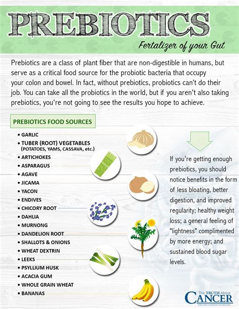 Prebiotics and Probiotics: Why You Need Both For a Healthy Gut ...