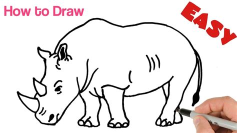 How to Draw Rhino ( Rhinoceros ) Easy Step by Step | Animals drawing ...