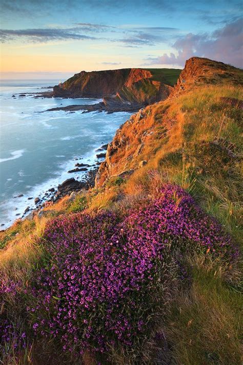 17 Best images about Devon scenery UK on Pinterest | National trust ...