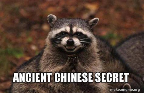 Ancient Chinese secret - Evil Plotting Raccoon Meme Generator