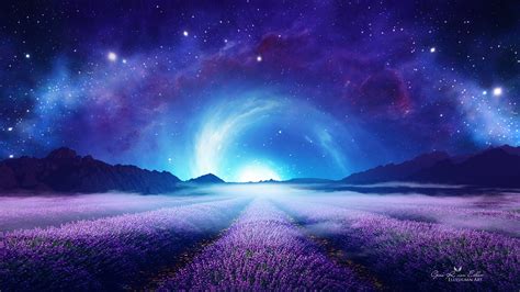 Lavender Field at Starry Night Wallpaper, HD Nature 4K Wallpapers ...