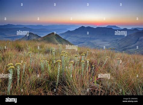 Sunrise above Little Berg, Tugela Valley, Amphitheatre, Royal Natal ...