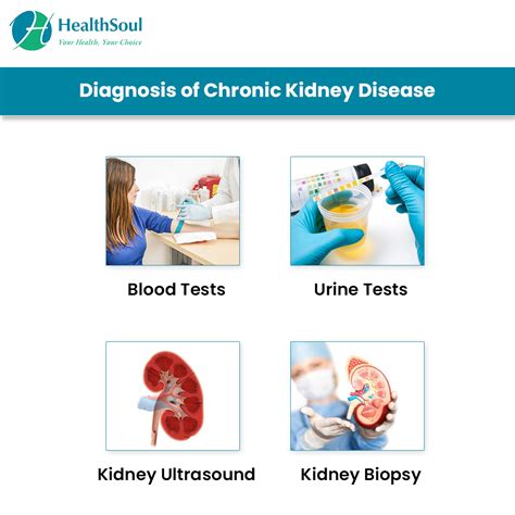 Chronic Kidney Disease: Causes and Management – Healthsoul