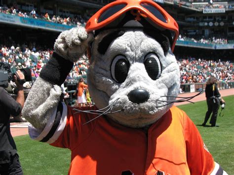 Lou Seal at the ballpark. Beloved mascot of the San Francisco Giants ...