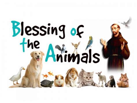 Annual Blessing of Animals - Pastorate of the Visitation | Catholic ...