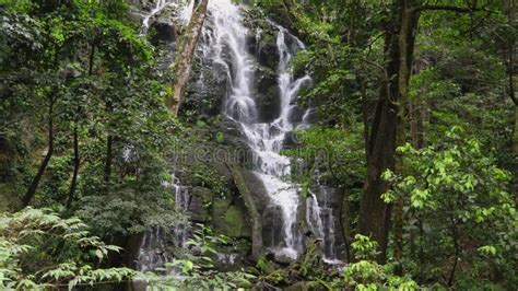 Jungle Waterfall, Rincon De La Vieja, Costa Rica. Stock Video - Video ...