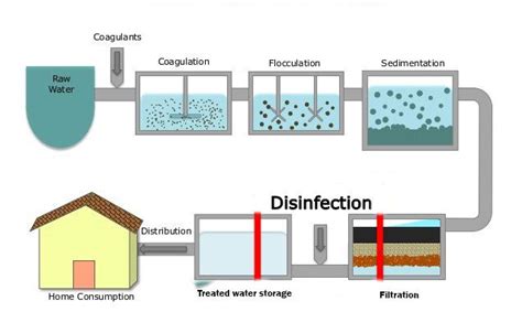 Steps of water purification process - Online Biology Notes