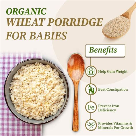 Health benefits of wheat porridge - KFC Menu