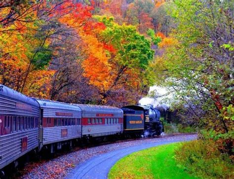 Train in nature | Amazing Pictures & Art | Pinterest