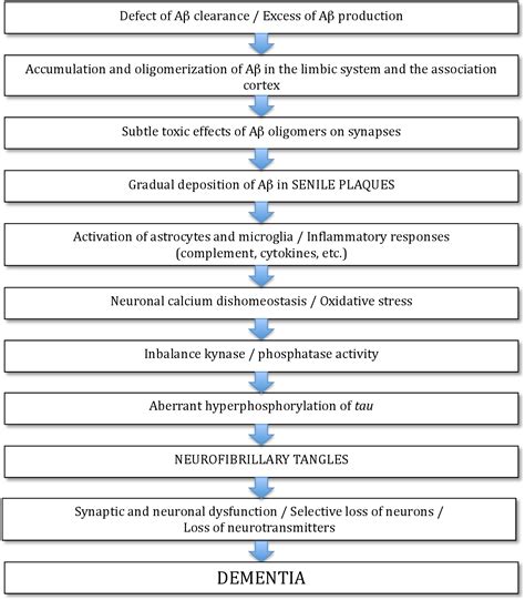 Neurofibrillary degeneration (morphologic abnormality) | Semantic Scholar