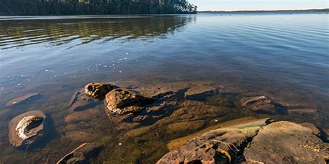 Queens Lake Nature Reserve | Port Macquarie