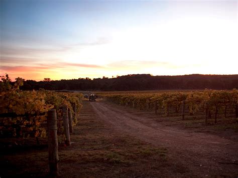 Heathcote Winery, Food and Wine, Goldfields, Victoria, Australia