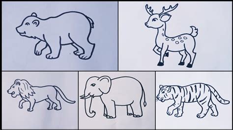 Animals drawing //How to draw Wild animals easy step by step - YouTube