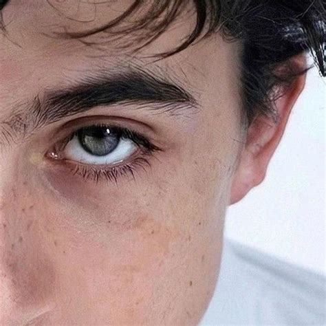 Timothée chalamet eyes | Timothee chalamet, Thimotée chalamet, Timmy t