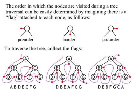 Tree Traversal Algorithms Diagram | Quizlet