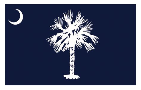 SC's flag had no formal design for 80 years. Here's what experts say it ...