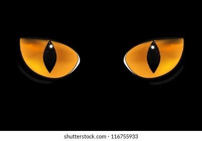 Cat Eyes Stock Vector (Royalty Free) 116755933 | Shutterstock