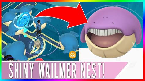 BEST WAILMER NEST IN THE WORLD! How To Catch Shiny Wailmer in Pokemon ...