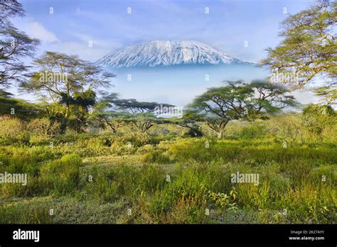 Pictures from the snow-capped Kilimanjaro in Kenya Stock Photo - Alamy